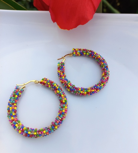Candongas multicolor